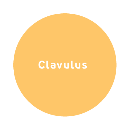 Clavulus